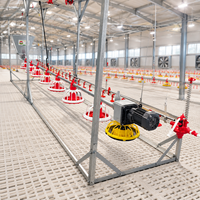 Équipement d'élevage avicole automatique : Ensemble mangeoire et abreuvoir pour poulets avec abreuvoirs à tétine pour l'élevage au sol des poulets de chair