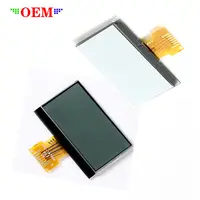 OEM ODM LCD Factory Customized E-Bike LCD Glass Panel