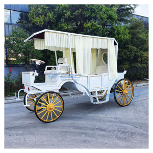 2026 Prix usine Marque XCEGO Origine Henan Voiturette électrique de tourisme type Victoria pour transport spécial et mariages en promotion - Product Image 5