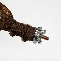 Ensemble de 4 perchoirs pour perroquets, en bois de poivre du Sichuan, branche d'arbre naturelle, pour configuration de cage à oiseaux à plusieurs niveaux