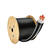 Câble d'alimentation industriel monophasé non blindé 0,6/1 kV en cuivre pur/PVC/XLPE, 10 mm/16 mm/25 mm/35 mm/50 mm/70 mm/95 mm/120 mm/150 mm