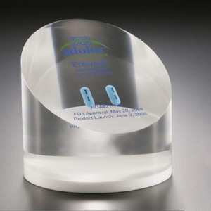 Şeffaf ekonomi akrilik reçine kağıt ağırlığı gömme hapları gömülü reçine - Product Image 2