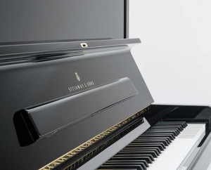 <span class=keywords><strong>Piano</strong></span> Steinway 88 touches, <span class=keywords><strong>piano</strong></span> droit mécanique, table sonore en épicéa Sitka d'Amérique du <span class=keywords><strong>Nord</strong></span>, marteaux en ébène pour performance professionnelle - Product Image 6
