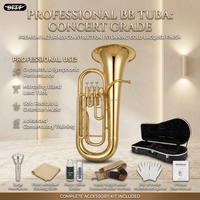 Factory Supply Brass Instrument All Kinds Brass Musical Instruments Bb Key Tuba for Sale