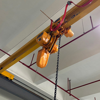 Palans électriques à chaîne de 5 tonnes avec crochet, palans à chaîne monophasés et triphasés de 1 tonne