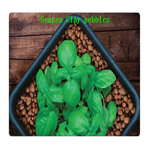 Phương Tiện Nuôi Trồng Thủy Canh Sỏi Đất Sét Mở Rộng - Product Image 5