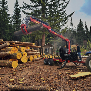Certifiée UE CE machine d'exploitation forestière tirer derrière grume <span class=keywords><strong>transporteur</strong></span> expédition chargeur remorque à bois monté grappin pour tracteur - Product Image 3