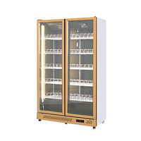 Réfrigérateur Commercial Vertical de Présentation pour Boissons, Contrôle Numérique, Dégivrage Automatique, Porte Vitrée, Refroidisseur de Boissons en Gros