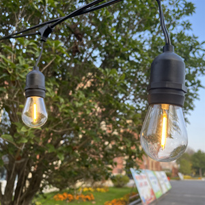 10m 15m 48ft thời tiết linh hoạt chuỗi treo cố định ổ cắm hoàn hảo Chuỗi đèn LED dây đèn ngoài trời không thấm nước 100ft - Product Image 2