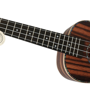 Ukulélé électrique en bois d'ébène Java de 23 pouces Aiersi de marque 4 cordes Hawaii <span class=keywords><strong>guitare</strong></span> Instruments de musique Offre Spéciale OEM ODM - Product Image 6