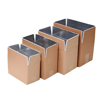 Boîte en carton avec logo personnalisé, boîte en aluminium, boîte pour poisson, viande, légumes, fruits, boîte isotherme en polystyrène pour expédition, grande boîte pour produits congelés