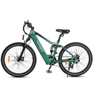 SAMEBIKE OEM ODM定制26英寸14Ah锂电池48V 750W大功率电机山地电动自行车