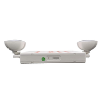 Lampu Darurat LED120-277v Tegangan Ganda Isi Ulang Aluminium dengan Pengiriman Cepat, Baterai Ni-Cd, Peringkat IP20, RoHS