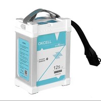 Batterie de drone intelligente 12S 16000mAh 22000mAh au lithium-ion en pochette, haute décharge pour la protection des plantes agricoles