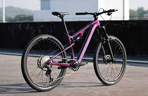2026 NIEUWE Lichtgewicht 29 Inch Carbon Frame Full Suspension Mountainbike MTB Full Suspension Met Carbon Frame - Product Image 3
