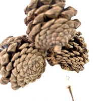 Großhandel DIY Home Decoration Naturholz Tannenzapfen hängen Baum Gold Silber getrocknete Blumen Pflanzen Schöne Abschluss feier