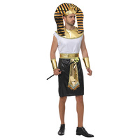 Costume de cosplay de pharaon égyptien pour adultes déguisement d'halloween pour hommes pour fête de carnaval