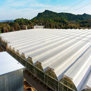 Cost-Effective Poly Film PE <strong>Plastic</strong> <strong>Greenhouse</strong> - Galvanized Steel Frame (Anti-Rust) for Durable Vegetable Agricultural Use - Product Image 6