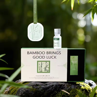 Diffuseur d'arômes suspendu en pierre de cire de soja parfum feuille de bambou, désodorisant de voiture moderne, coffret cadeau pour Noël et le Nouvel An