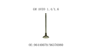 วาล์วเครื่องยนต์สำหรับ GM Aveo 1.4/1.6 16V Chevrolet Buick Excelle 1.6 96440079 96376980 - Product Image 2