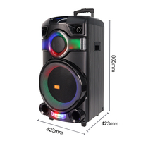 Amplificateur de guitare électrique SING-E ZQS15122, amplificateur à tubes pour basse, combo guitare 100 Watts, amplificateur de guitare BT