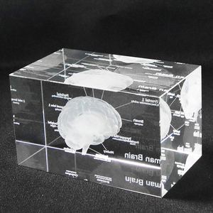 Modèle anatomique médical du cerveau humain en cristal K9 brillant, artisanat, <span class=keywords><strong>cube</strong></span> <span class=keywords><strong>photo</strong></span> en verre <span class=keywords><strong>3D</strong></span>, laser, <span class=keywords><strong>cube</strong></span> en cristal vierge, presse-papier - Product Image 2
