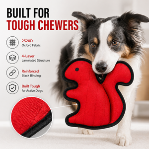 Jouet pour chien 2520D Oxford en forme d'écureuil qui couine, jouet à mâcher interactif et durable pour chiens agressifs, yeux brodés - Product Image 2