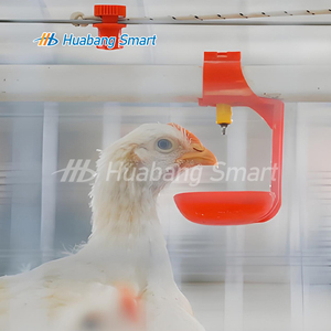 Poulailler entièrement automatique le plus vendu, avec hauteur de ligne d'eau réglable, cage à poulets de chair de type H - Product Image 5