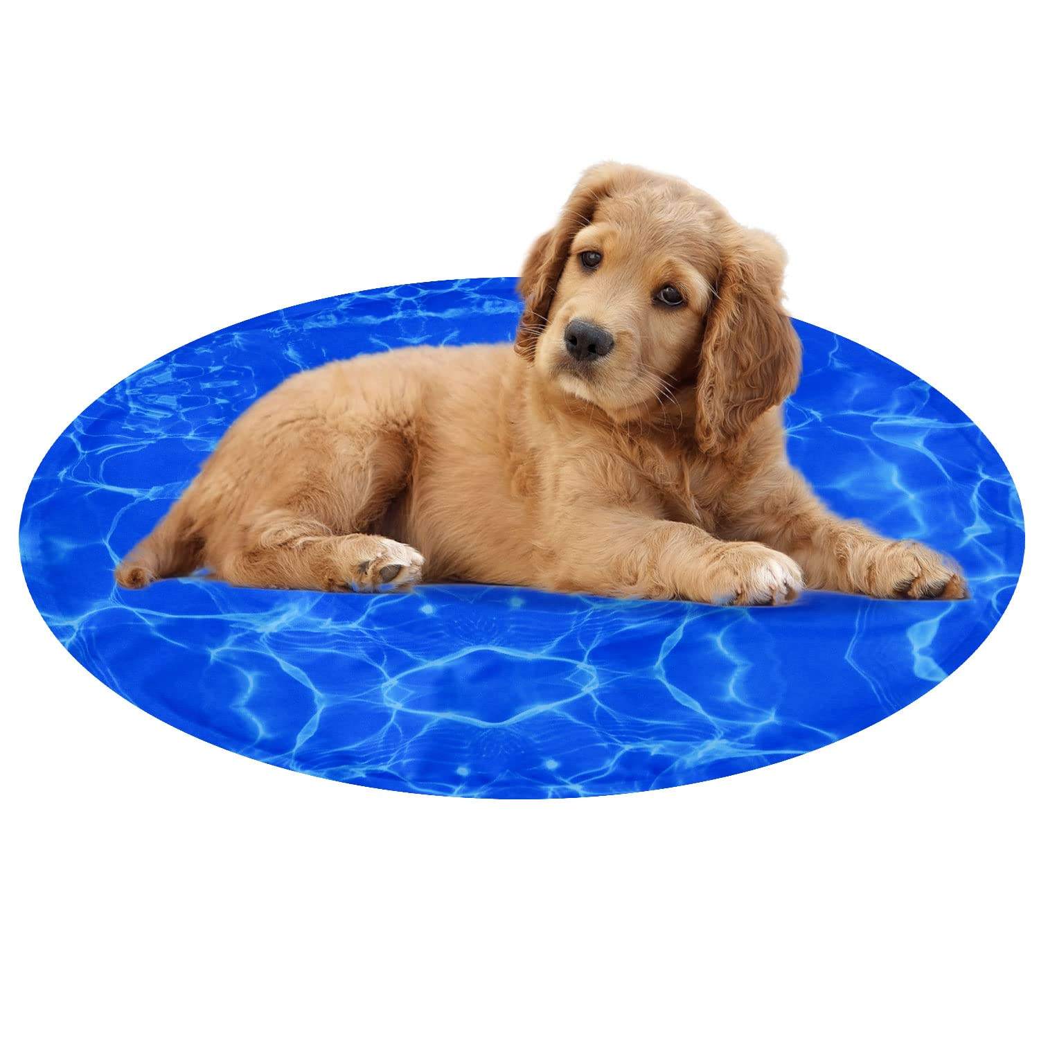 คลื่นน้ำ