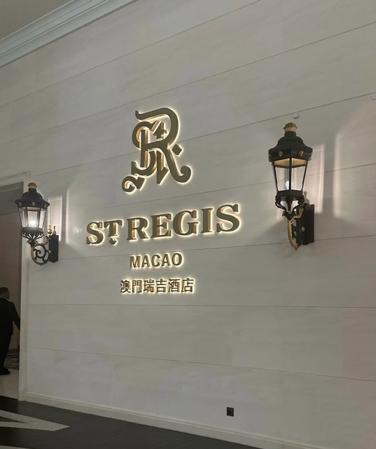 Customized Backlit LED Channel Letters 3D Stainless Steel LED Illuminated Signage IP65 Waterproof Remote Control AC Sign