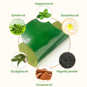 Nuevo Parche para el Dolor Lumbar y Parches para las Rodillas con Ingredientes Herbales de Ajenjo para Uso Corporal, Hipoalergénico, Certificado CE - Product Image 6