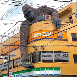 Estatua de chimpancé realista a gran escala, estatuilla de Rey Mono FRP hecha a mano de resina - Product Image 3