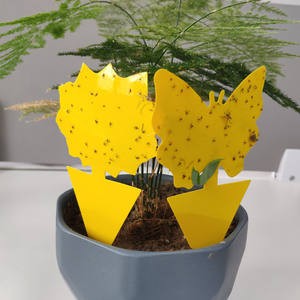 Trappers jetables de colle d'escalier collant jaune Pièges à insectes collants jaunes d'escalier de <span class=keywords><strong>mouche</strong></span> de fruit <span class=keywords><strong>naturel</strong></span> pour l'usage d'intérieur/extérieur - Product Image 5