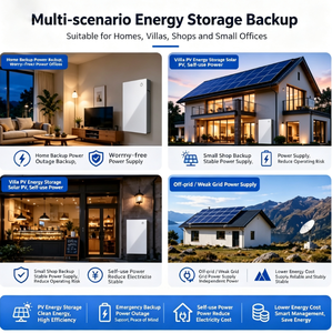 P100 ออลอินวัน 10.24kWh LiFePO4 อินเวอร์เตอร์ไฮบริดติดผนังสำหรับบ้าน ระบบกักเก็บพลังงานแสงอาทิตย์ IP66 สำรองไฟฟ้าสำหรับบ้านพักตากอากาศ - Product Image 4