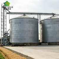 Düz Tabanlı Tahıl Depolama Çelik Silosu Büyük Tahıl Çiftlikleri ve İşleme Tesisleri için Tarım Ekipmanı 2000-20000 Ton