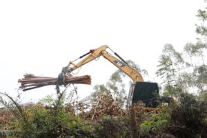 Vente directe d'usine XUVOL, adapté aux excavatrices de 6 à 9 tonnes, pince à bois monocylindre, mini pelle, pince à bois - Product Image 5