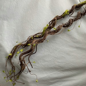 Branche suspendue en rotin artificiel torsadé, recouverte <span class=keywords><strong>de</strong></span> <span class=keywords><strong>mousse</strong></span>, pour décoration murale <span class=keywords><strong>de</strong></span> mariage, verdure paysagère et aménagement intérieur, vente en gros - Product Image 4