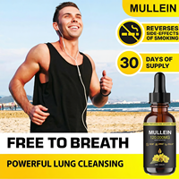 MULLEIN 120000MG Complément Herbal Pur Naturel Liquide Oral Soutien Beauté Digestion Peau Poumons Santé Extrait de Feuille de Molène