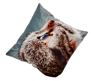 Wholesale Cheap Custom Sublimation Pillow Case Digital Printed Cushion Cover Velvet Plush Throw Pillow Cover