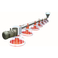 Mangeoire et abreuvoir pour poulets entièrement automatiques Nouveau système de ligne d'alimentation et d'abreuvement pour poulets de chair en PP pour l'élevage en poulailler