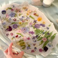 Assortiment de 35 fleurs pressées véritables vintage blanches et jaunes pour la fabrication de bijoux en résine époxy, de coques de téléphone et de créations DIY