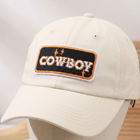 Collection de patchs brodés rétro western |   Applique thermocollante et à coudre Motif Cowboy Cheval Cactus Papillon pour Vêtements et Accessoires