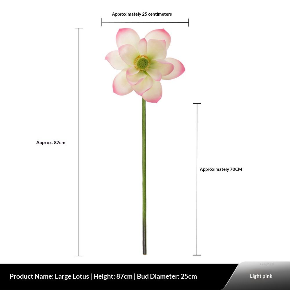 Lotus à colle grand format rose clair