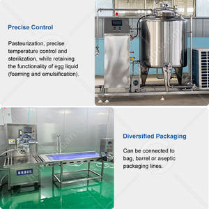 Equipo Pasteurizador de Glaseado para Pan Industrial ORME, Línea Automática de Procesamiento de Líquido de Huevo para Tartas en Venta - Product Image 5