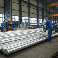 Barre plate en acier inoxydable 316L 30x5mm 40x5mm 50x5mm, finition piquée, pour supports marins, équipements alimentaires et cadres chimiques