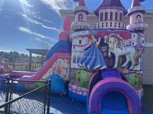 נסיכה מתנפחים קפיצה טירה מתנפחים bouncer בנות להקפיץ הבית עם שקופית קומבו שקופית מתנפחים עבור בנות - Product Image 6