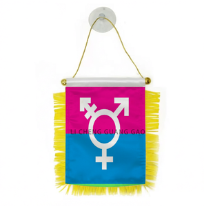 Drapeau de voiture à ventouse suspendu, série arc-en-ciel, design <span class=keywords><strong>LGBT</strong></span> (Lindsay Design), mini-drapeau transgenre personnalisé, best-seller - Product Image 1