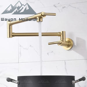 <span class=keywords><strong>Robinet</strong></span> de remplissage mural Wayon en or brossé de luxe avec bras articulé <span class=keywords><strong>double</strong></span> pour cuisine de chef - Product Image 1