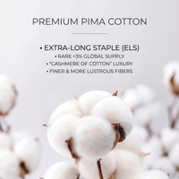 Tissu Interlock 100% Coton 70S 230GSM BoRan Textile, traité à l'ammoniaque liquide, anti-plis, triple protection, pour chemises et t-shirts de luxe