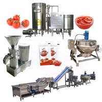 Grande ligne de production industrielle de pâte de tomate Mini usine complète de traitement de pâte de tomate concentrée industrielle